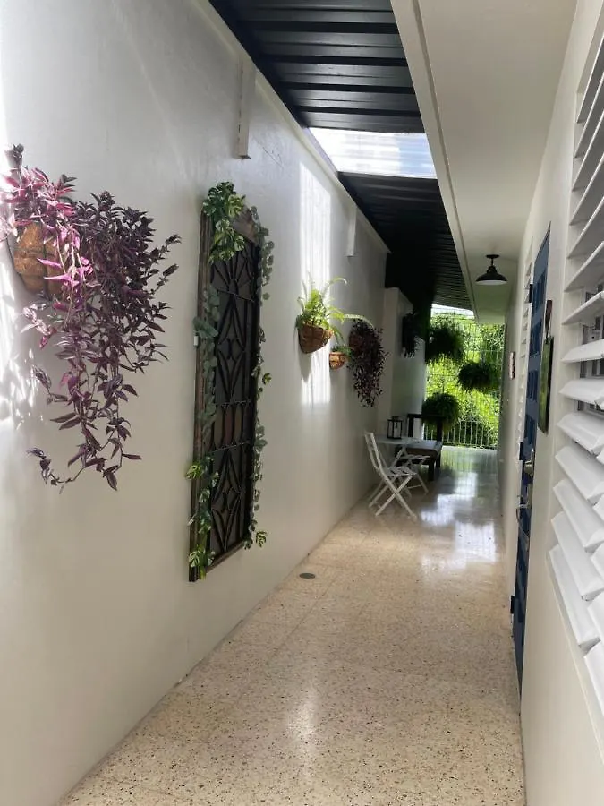 Apartamento Casa Berilio Lares 0*,